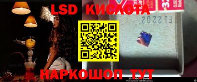 эйфоретик Донской