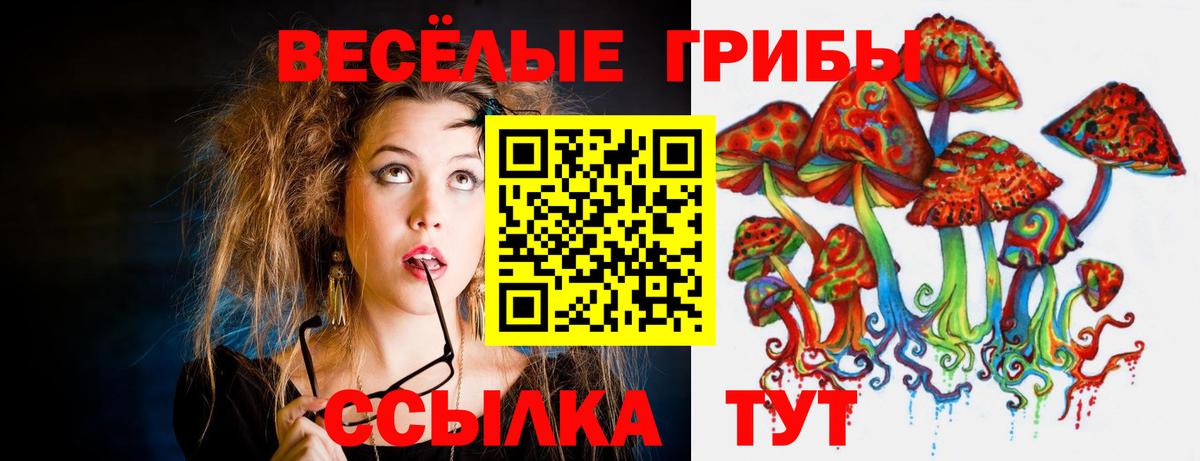 Псилоцибиновые грибы Cubensis  Галлюциногенные грибы GOLDEN TEACHER  хочу   Вход с VPN  Гуково 