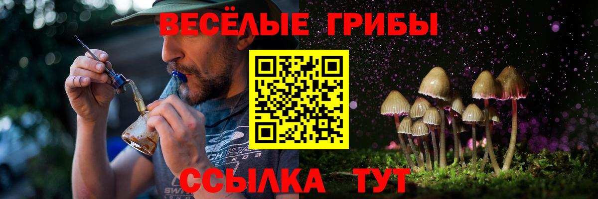 Галлюциногенные грибы Magic Shrooms  Гуково 
